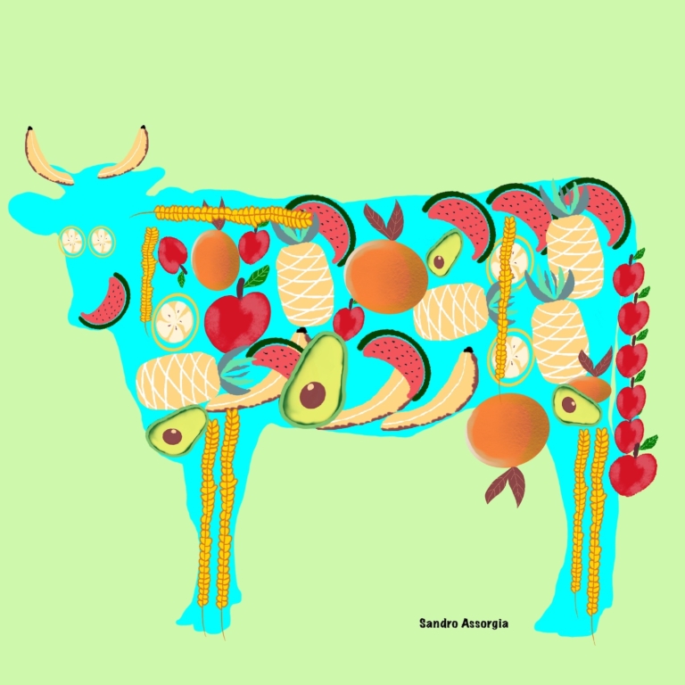 Duurzaamheid voor Dummies: ‘Ons eetpatroon heeft een grote impact op het milieu’