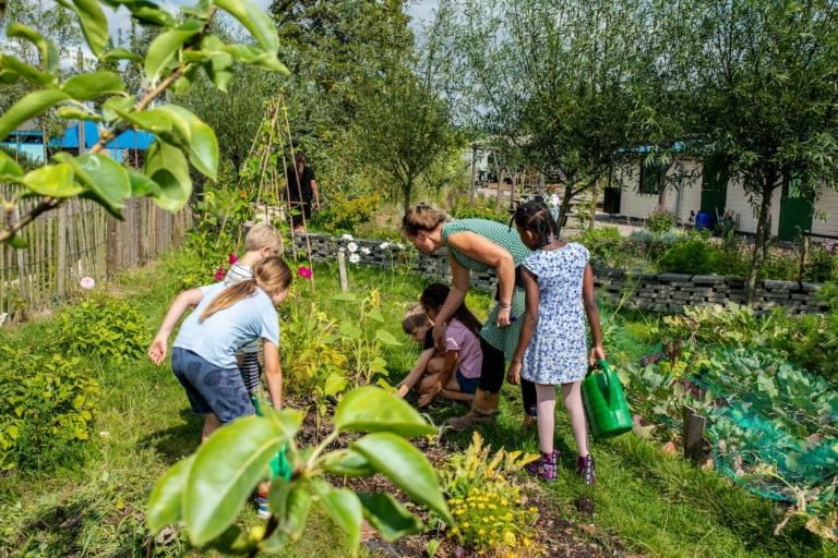 Stadslandbouw en natuurspeeltuin: Jeugdland opent Hemelse Tuin
