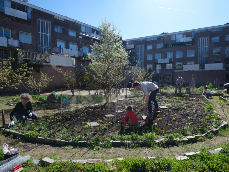 Majellatuin: best bewaarde geheim van de Indische Buurt