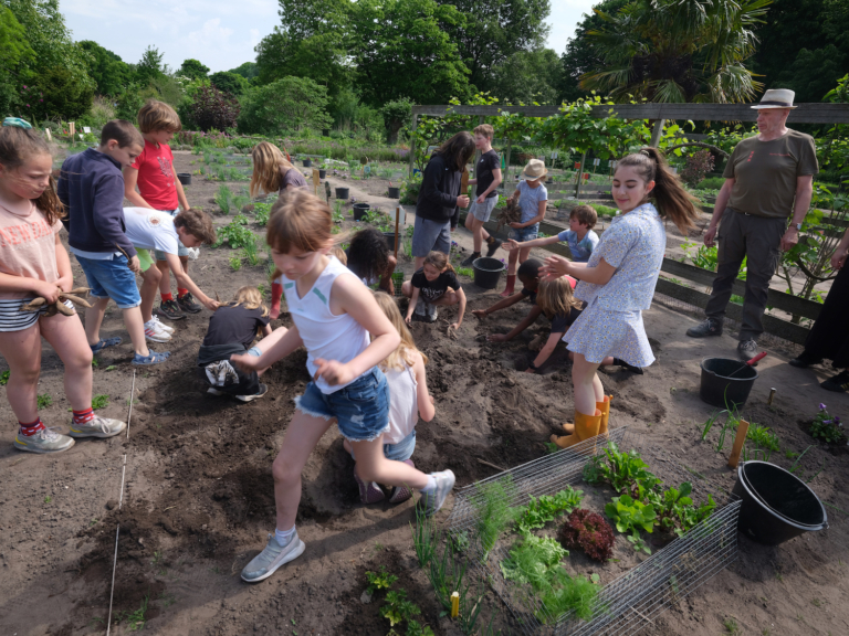 Expo en feest: Honderd jaar Amsterdamse schooltuinen. Meester Jan leert groep 6 viooltjes poten