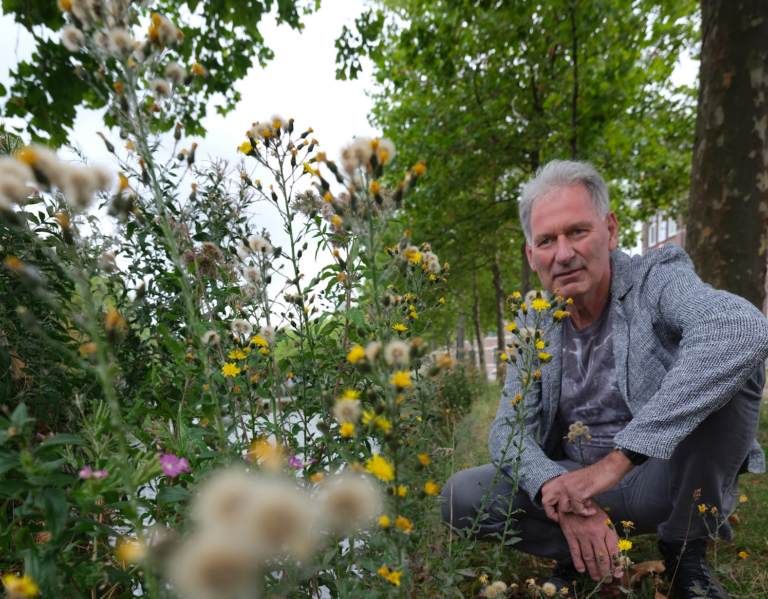 Bijzonder zeldzame plant aan de Mauritskade