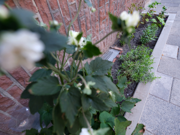 Gratis tuintegelservice