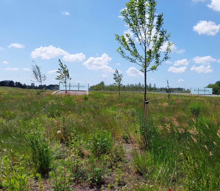 Ontdek het Brasapark, het nieuwste park van Amsterdam
