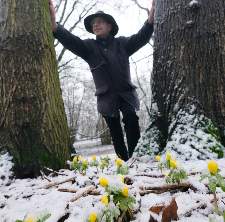 Tropische planen veroveren de stad – en bloeien hartje winter
