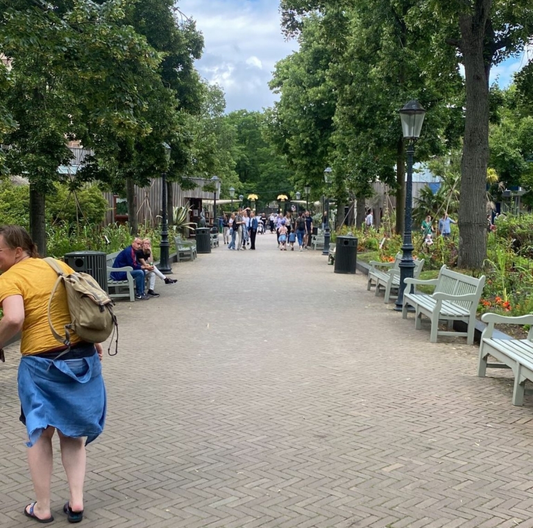 Chimpansees Artis verhuizen mogelijk naar andere dierentuin