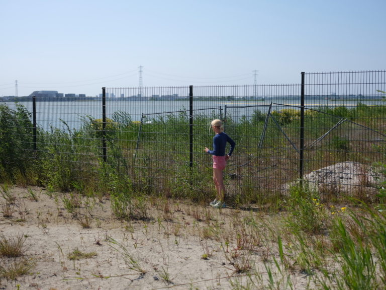 Zonnepanelenweide op Strandeiland