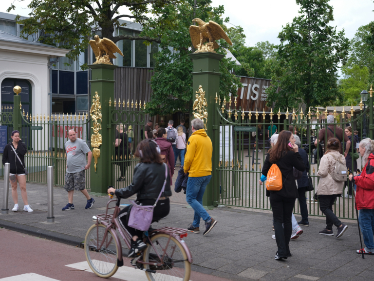 Schommelende cijfers bij burgerlijke stand Artis