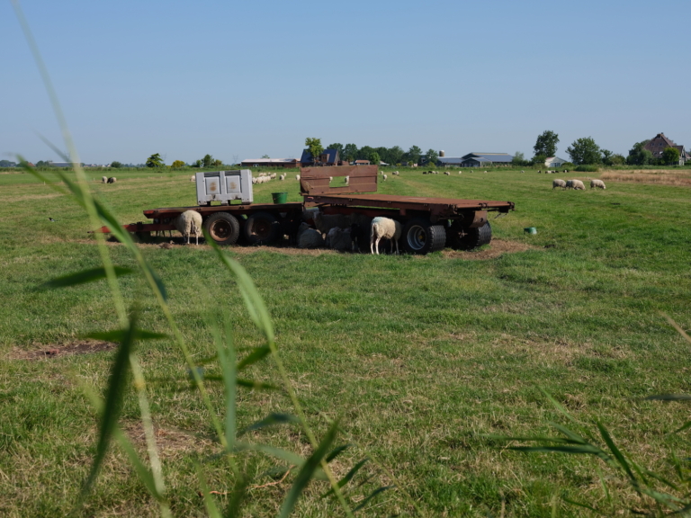 ‘Zomer in de stad, het blijft behelpen’