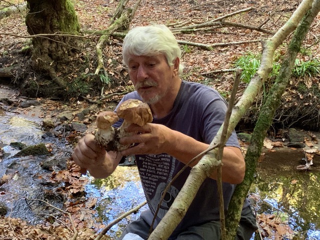 Stichting Eigen Krachtvoer helpt minima: niet naar de voedselbank maar wildplukken