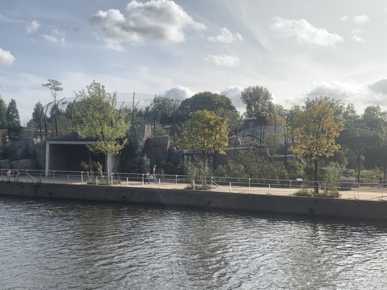 Nieuw onderkomen voor leeuwen in Artis