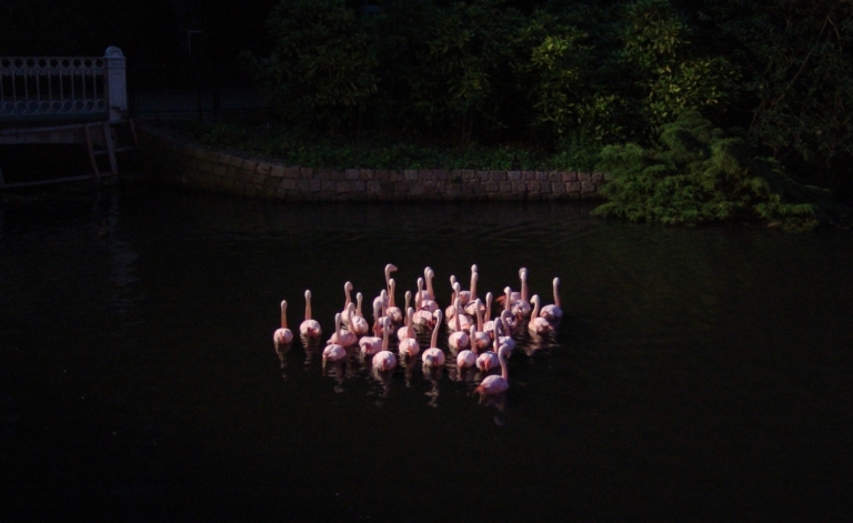 In Artis mag het licht uit