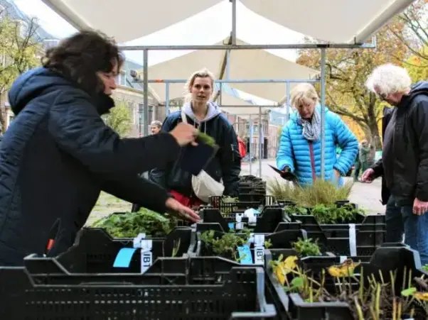 Groenmarkt in de Batjanzaal op 1 oktober