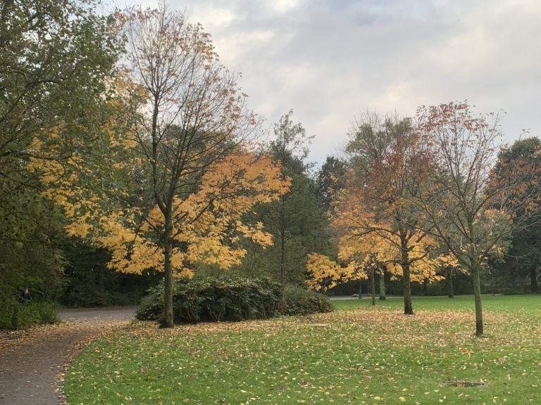 Laatste dagen herfstexpositie in Oosterpark