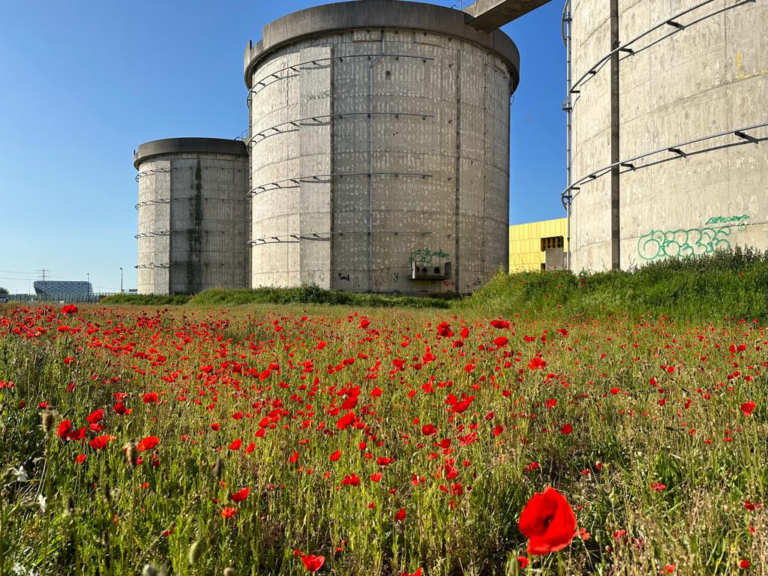 Van strontbak naar… Hoe zit het met de plannen voor de silo’s op Zeeburgereiland?