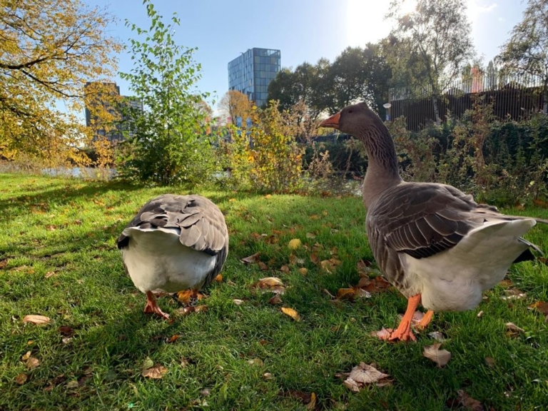 Duurzaamheidsmarkt Oost op zaterdag 4 november