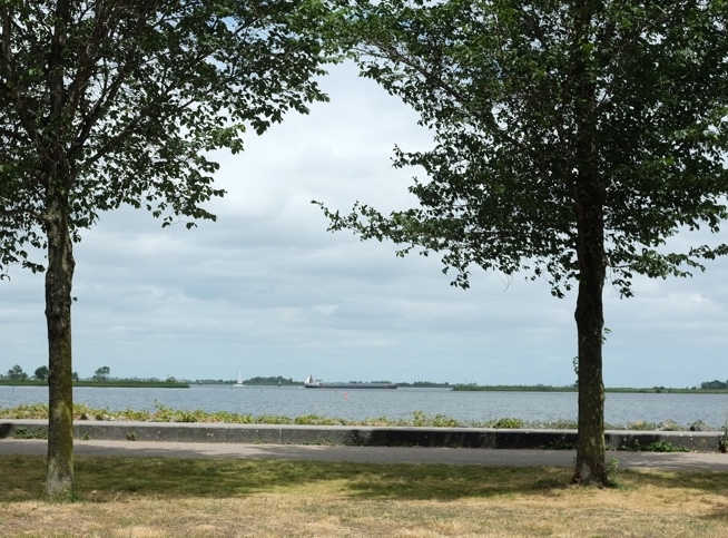 ‘Zen op IJburg’