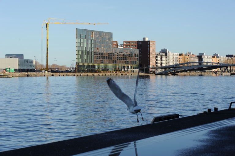 Ongetiteld bericht 52039