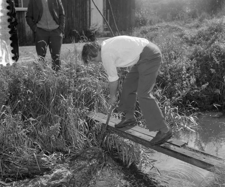 Horrorkikkers in de sloot langs de Ringdijk