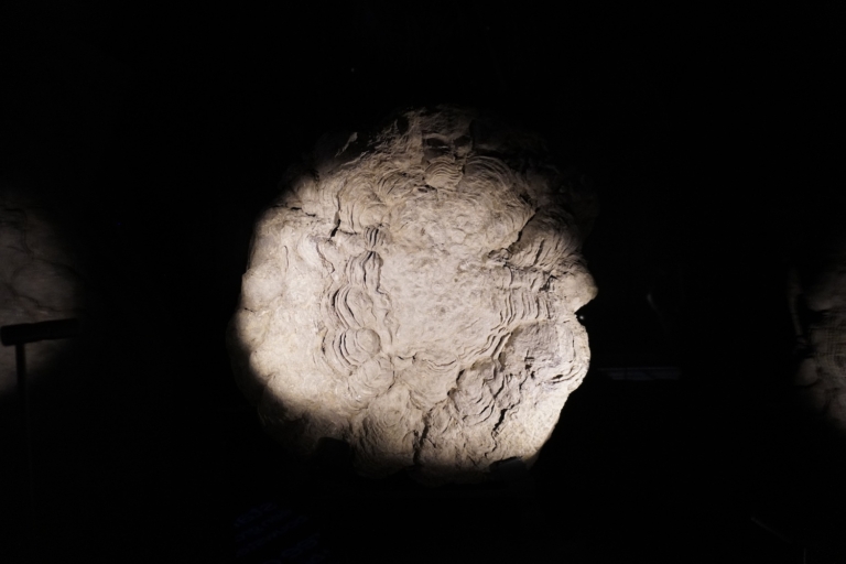 Stromaliet uit het vroegste ecosysteem in Micropedia