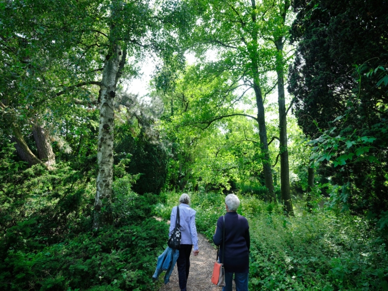 Voor of tegen geheime groenreserves? Waarover gaat het referendum van 6 juni?