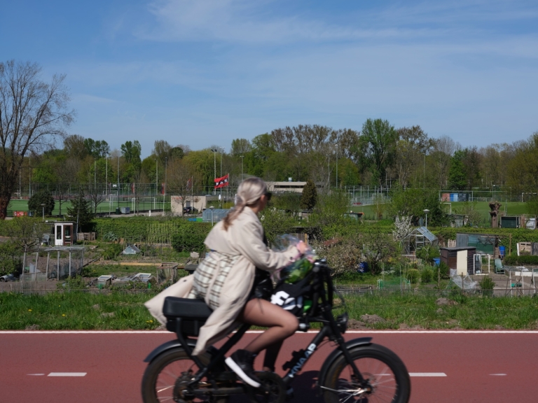 Hoe groener het stadsdeel, hoe armer