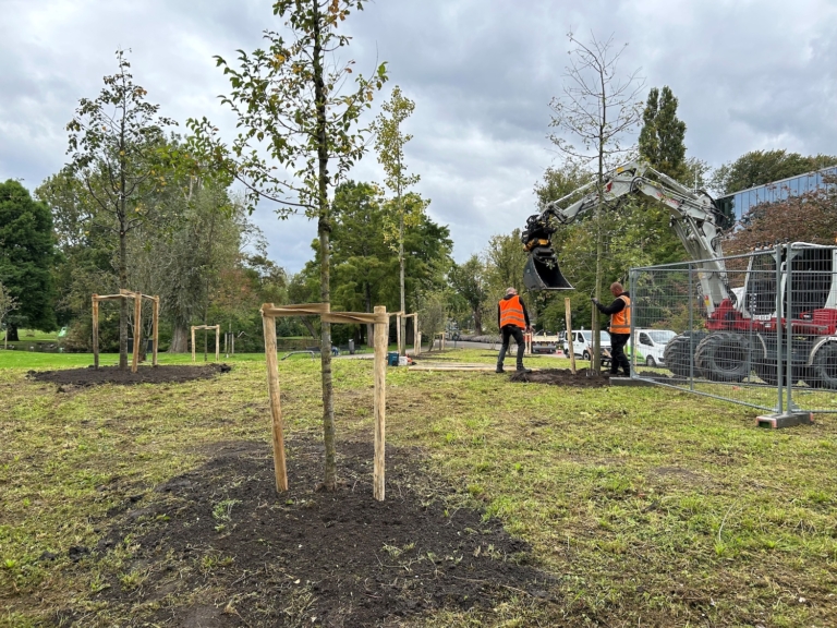 Nieuwe bomen en planten in het Oosterpark