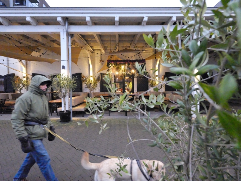 Een half miljoen kerstlichtjes in The Harbour Club