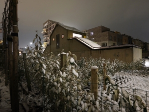 ‘De rigide hotelstop is onlogisch, houdt het probleem van Centrum en Zuid in stand’